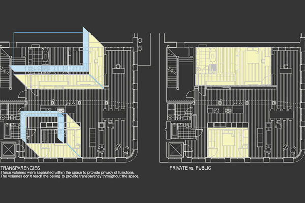 The Oz Loft. Transparency vs. Privacy. SoHo, NYC.