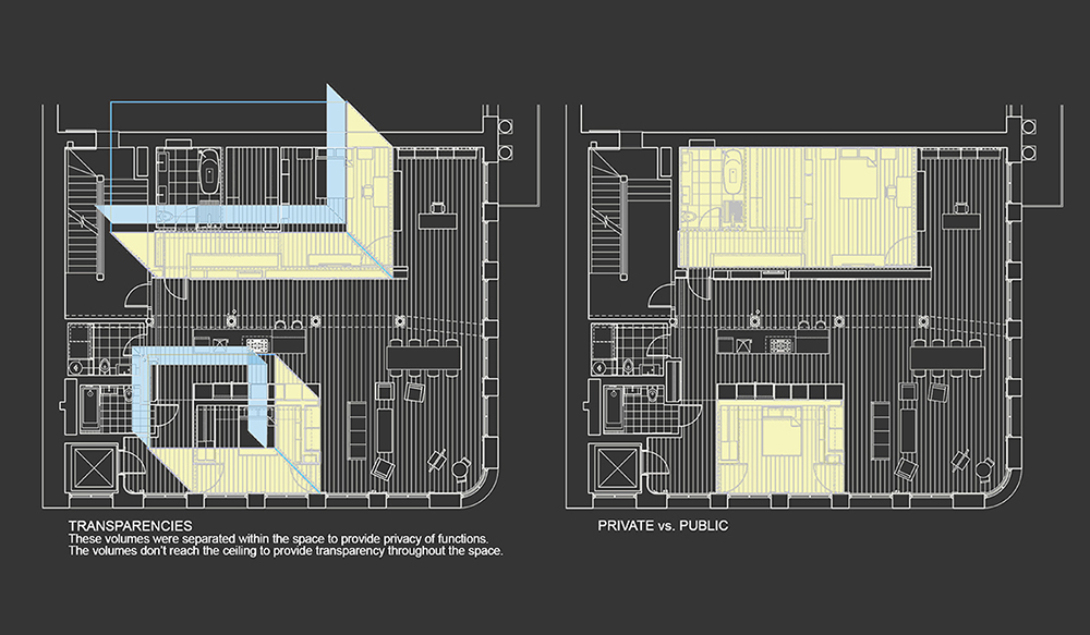 The Oz Loft. Transparency vs. Privacy. SoHo, NYC.