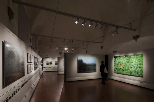 Fratelli Alinari Museo