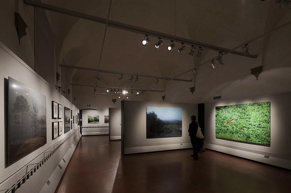 Fratelli Alinari Museo