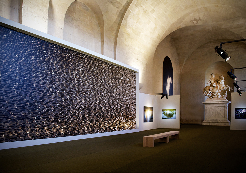 Versailles Orangerie