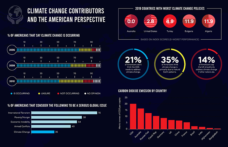 Amelia Razak, Professor Patty Wongpakdee, Information Design Fall 2020