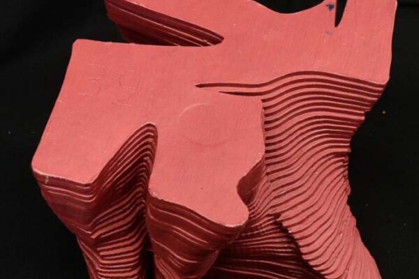 Student: Elizabeth De Leon Faculty: Trudy Brens Semester: Spring 2019