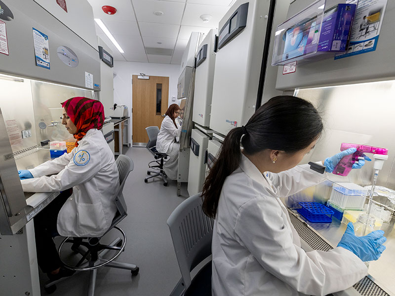Three researchers work in a lab.