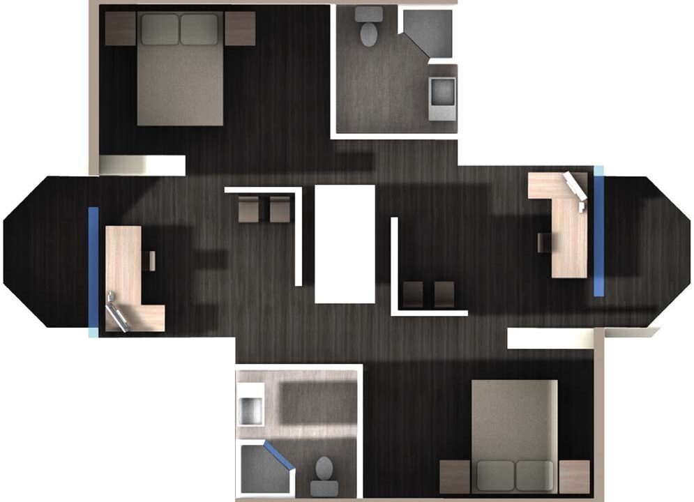 Student: Katrina Alvarez Faculty: Adegboyega Adefope Semester: Spring 2020