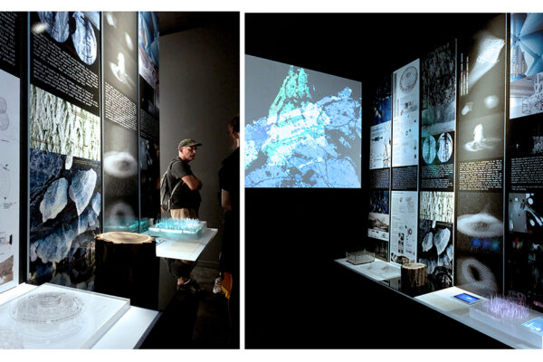 DATA & MATTER Exhibition at Palazzo Bembo -European Cultural Center, a collateral event of the 2018 Venice Architecture Biennale (Exhibition Curated with Nancy Diniz and Frank Melendez).