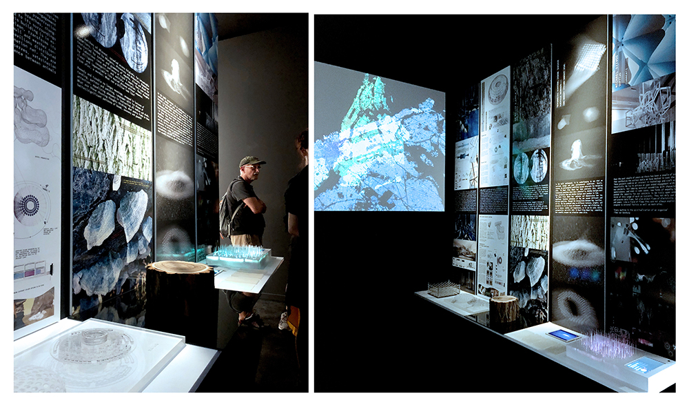DATA & MATTER Exhibition at Palazzo Bembo -European Cultural Center, a collateral event of the 2018 Venice Architecture Biennale (Exhibition Curated with Nancy Diniz and Frank Melendez).