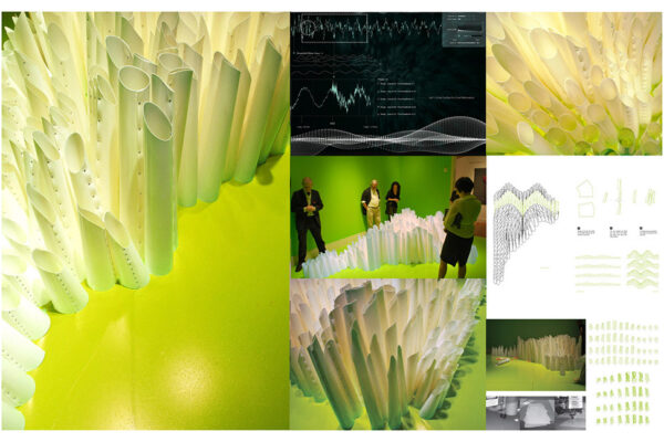 SoundECOLOGIES, Ogden Museum of Southern Art, New Orleans (with Victor Jones).