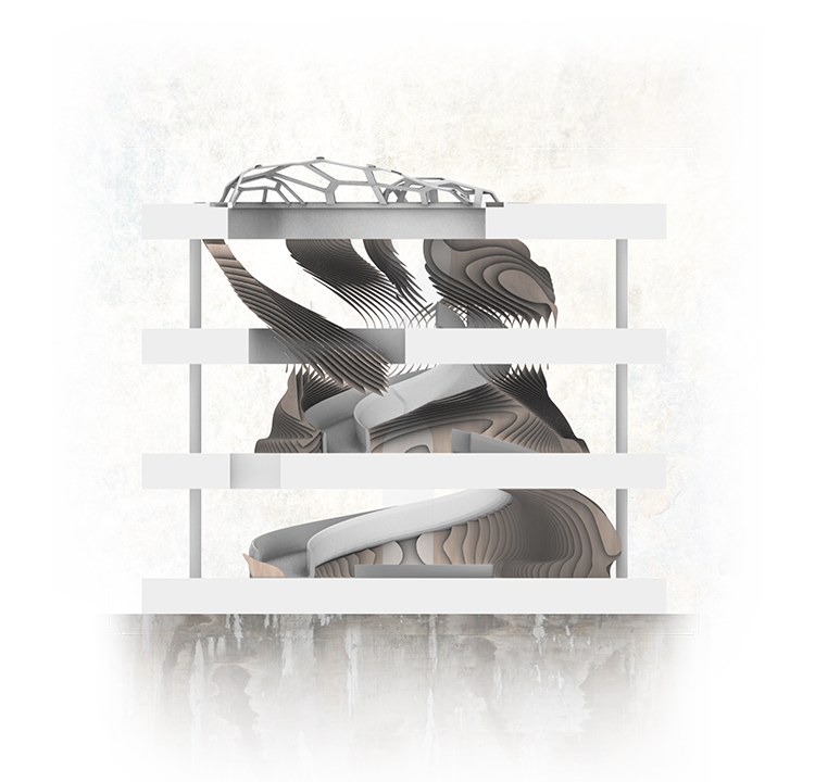 Student: Nicole Wolert