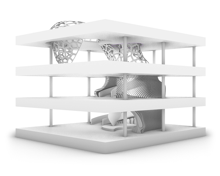 Student: Nicole Wolert