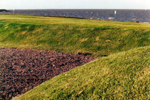 Vicente Lopez Buenos Aires Shore Park, Buenos Aires, Argentina 1999-2001