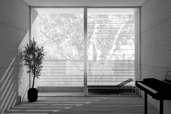 Black and White photo of windows