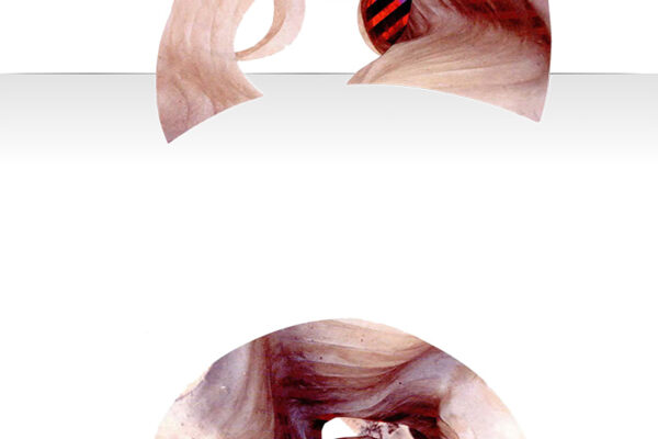 An abstract artwork, possibly a collage or mixed media piece. The image features two distinct abstract forms, one above the other, with a white background. The forms use organic, flowing shapes and textures that resemble folded fabric, skin, or natural rock formations.