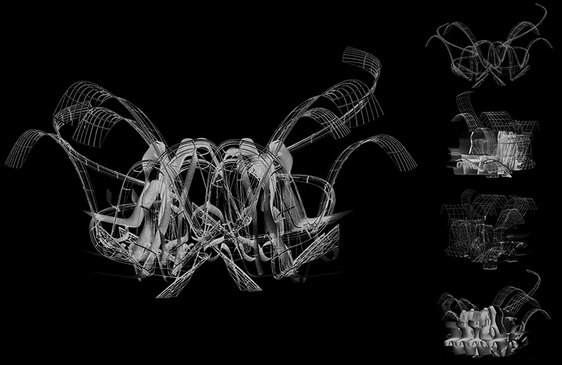 An architectural design study, with five images that show wireframe and rendered views of a complex, abstract structure.