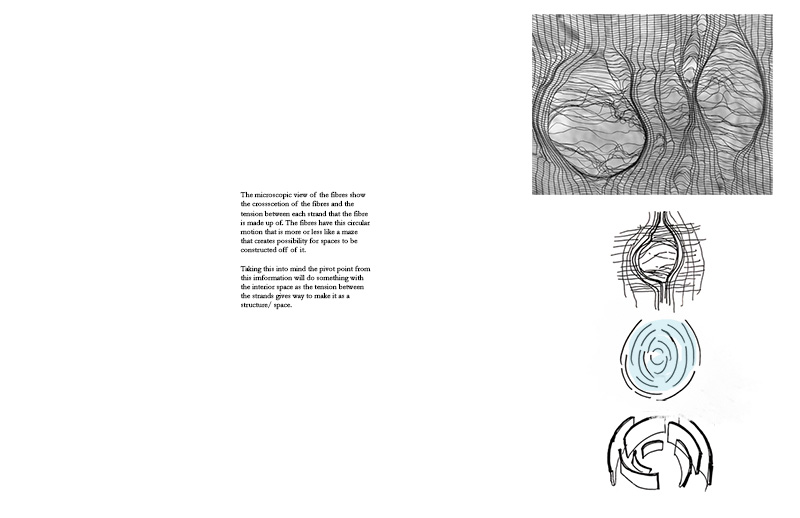 Images and text that describe the microscopic view and tension of fibers for architectural applications.