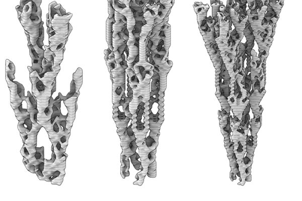 B.Arch 501-502, Informed Interscalar Fluidity, Thesis Studio, Associate Professor Pablo Lorenzo-Eiroa, F2019 and S2020. The thesis studio worked on a full-scale synthetic interactive immersive architecture installation for the...