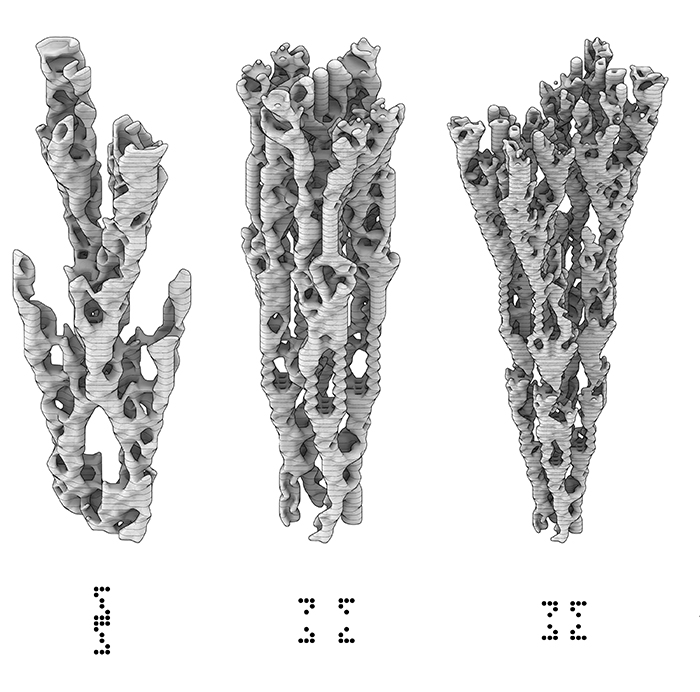 B.Arch 501-502, Informed Interscalar Fluidity, Thesis Studio, Associate Professor Pablo Lorenzo-Eiroa, F2019 and S2020. The thesis studio worked on a full-scale synthetic interactive immersive architecture installation for the...