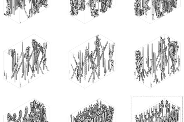 B.Arch 501-502, Informed Interscalar Fluidity, Thesis Studio, Associate Professor Pablo Lorenzo-Eiroa, F2019 and S2020. The thesis studio worked on a full-scale synthetic interactive immersive architecture installation for the...