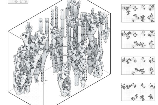B.Arch 501-502, Informed Interscalar Fluidity, Thesis Studio, Associate Professor Pablo Lorenzo-Eiroa, F2019 and S2020. The thesis studio worked on a full-scale synthetic interactive immersive architecture installation for the...