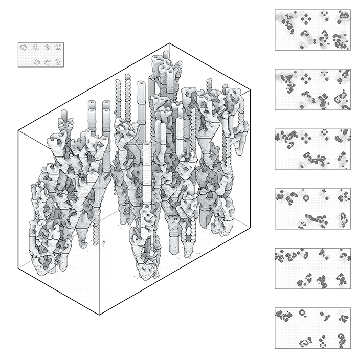 B.Arch 501-502, Informed Interscalar Fluidity, Thesis Studio, Associate Professor Pablo Lorenzo-Eiroa, F2019 and S2020. The thesis studio worked on a full-scale synthetic interactive immersive architecture installation for the...