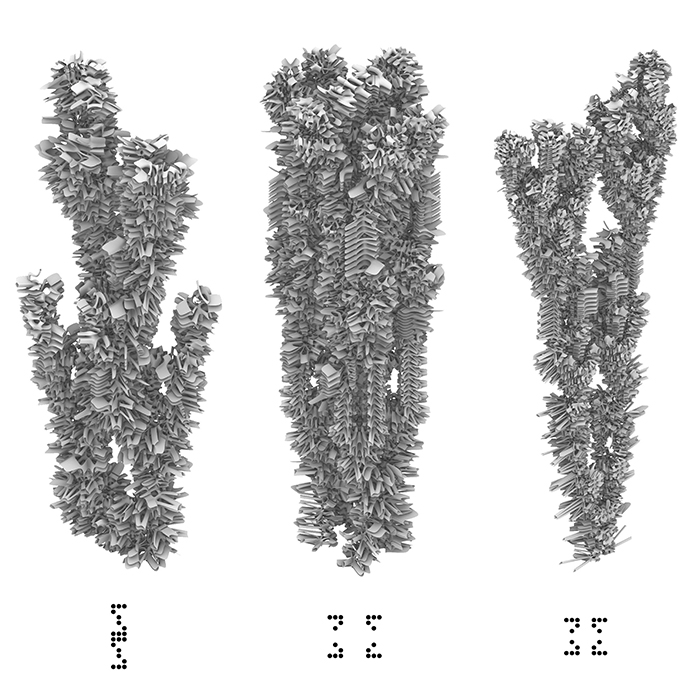 B.Arch 501-502, Informed Interscalar Fluidity, Thesis Studio, Associate Professor Pablo Lorenzo-Eiroa, F2019 and S2020. The thesis studio worked on a full-scale synthetic interactive immersive architecture installation for the