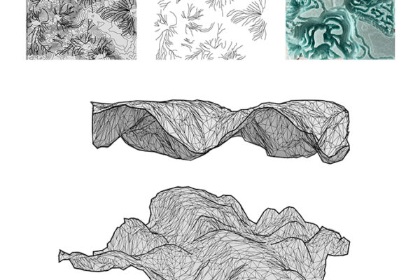 B.Arch 501-502, Informed Interscalar Fluidity, Thesis Studio, Associate Professor Pablo Lorenzo-Eiroa, F2019 and S2020. The thesis studio worked on a full-scale synthetic interactive immersive architecture installation for the...