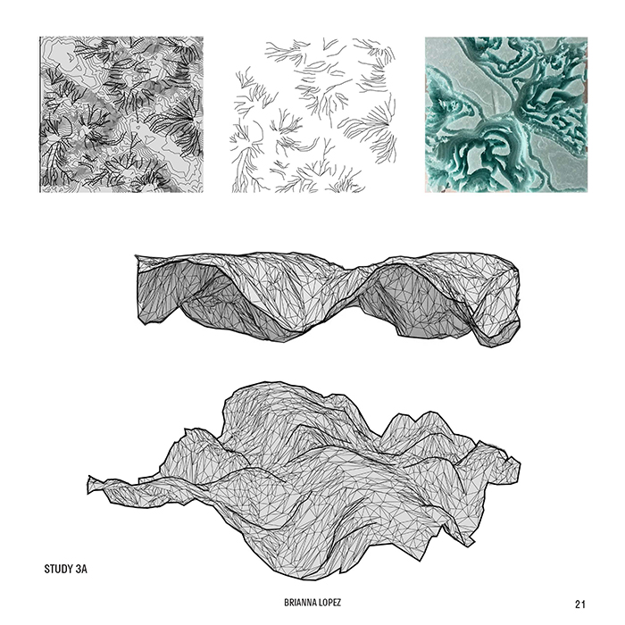 B.Arch 501-502, Informed Interscalar Fluidity, Thesis Studio, Associate Professor Pablo Lorenzo-Eiroa, F2019 and S2020. The thesis studio worked on a full-scale synthetic interactive immersive architecture installation for the...