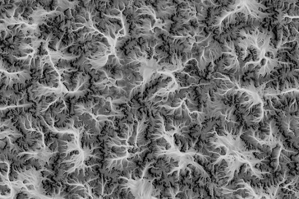 B.Arch 501-502, Informed Interscalar Fluidity, Thesis Studio, Associate Professor Pablo Lorenzo-Eiroa, F2019 and S2020. The thesis studio worked on a full-scale synthetic interactive immersive architecture installation for the...