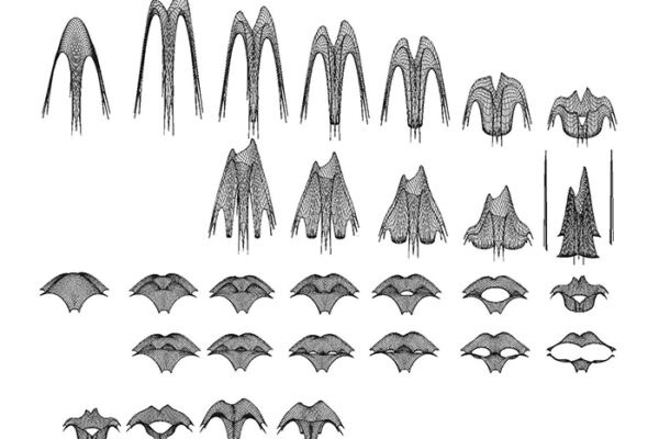 B.Arch 501-502, Informed Interscalar Fluidity, Thesis Studio, Associate Professor Pablo Lorenzo-Eiroa, F2019 and S2020. The thesis studio worked on a full-scale synthetic interactive immersive architecture installation for the...