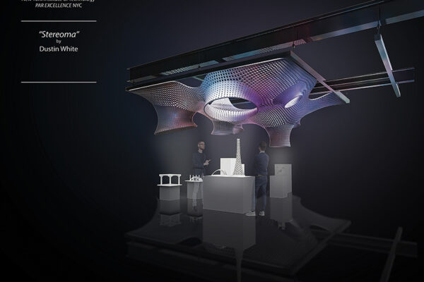 Stereoma Stereotomy Exhibition, Rendering, Dustin White