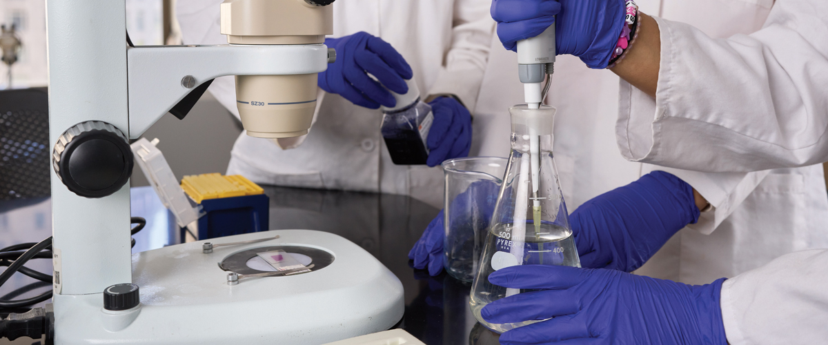 Researchers using a flask standing by a microscope