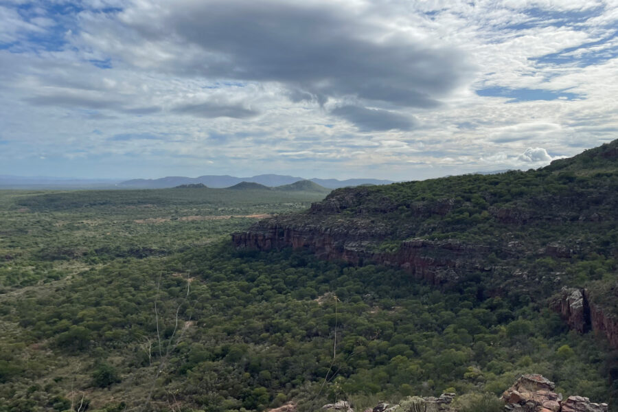Landscape in Brazil