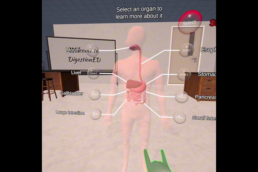 CurioXR Skeleton model. With UI menu interaction in front.