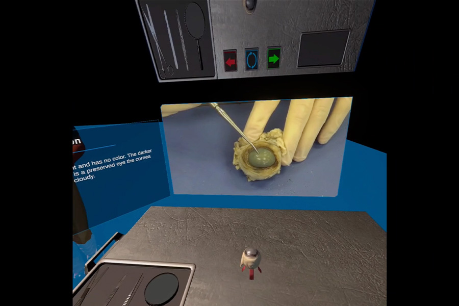 CurioXR Skeleton model. With UI menu interaction in front.