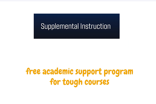 SI Instructional Video