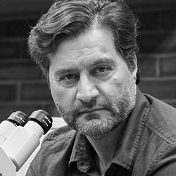 Michael Hadjiargyrou