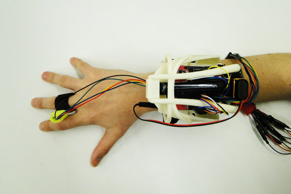 Perceptual Prototypes