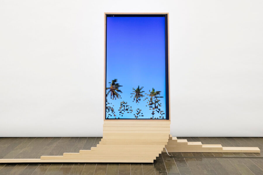 Palm trees on a screen