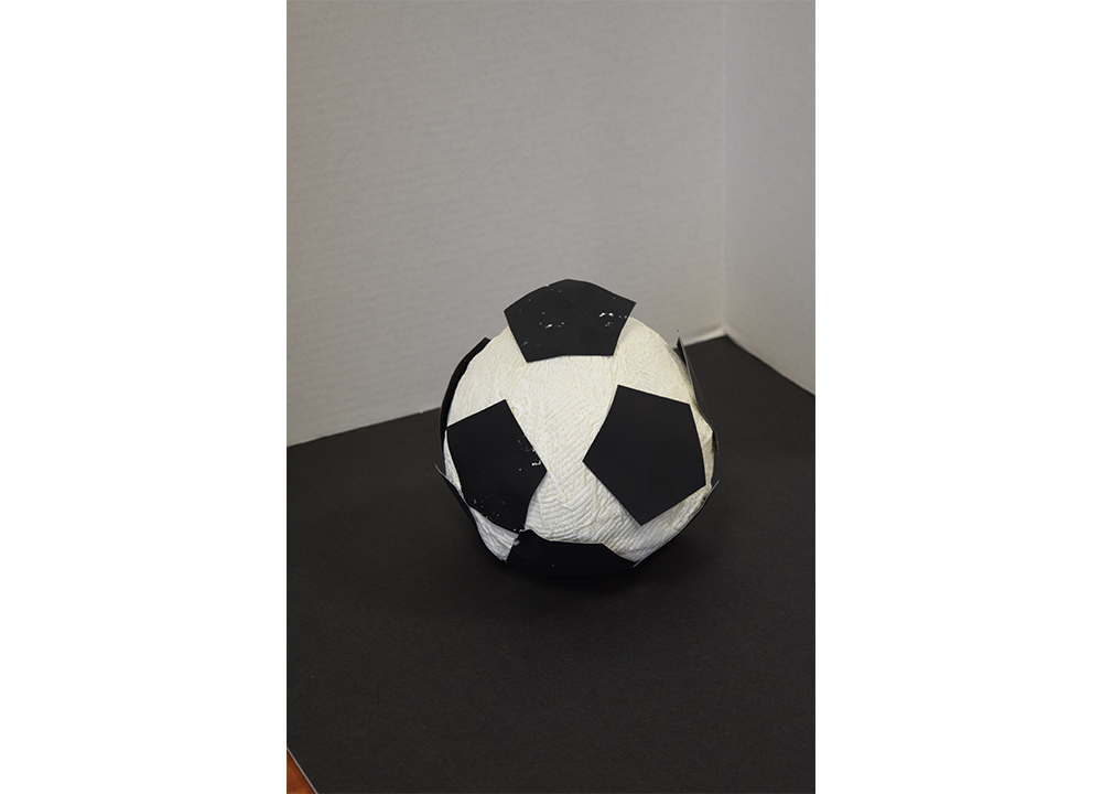 glue, paper towels, balloon, paint, tape, cardboard