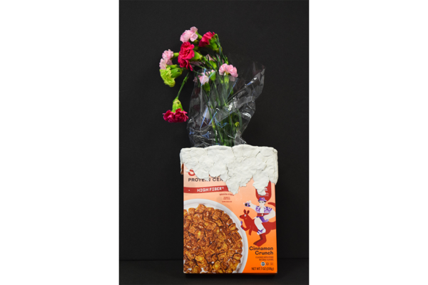 cereal box, clay, fresh flowers