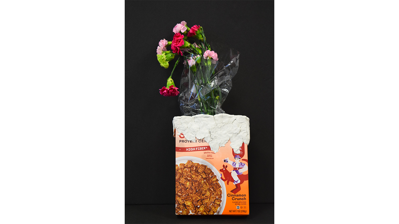 cereal box, clay, fresh flowers