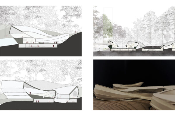 Sections and Physical Model