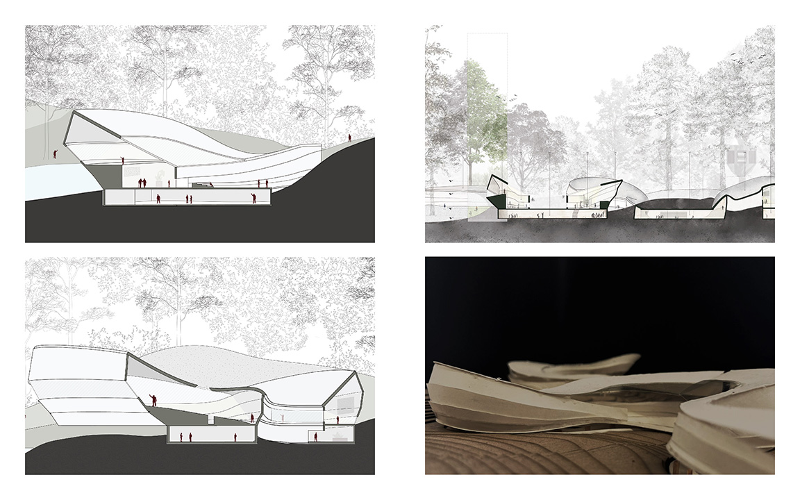 Sections and Physical Model