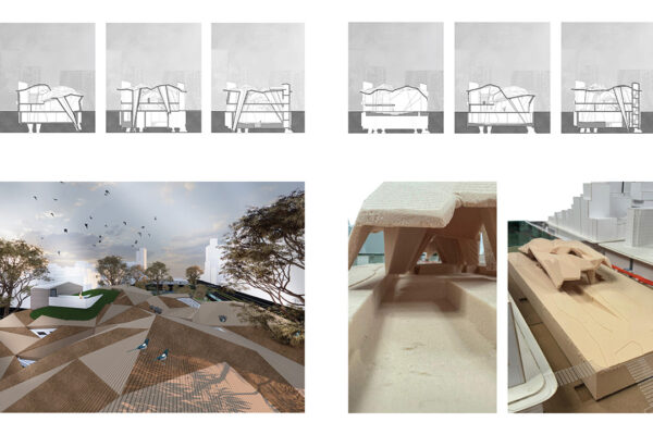 Sections, Rendering and Physical Model