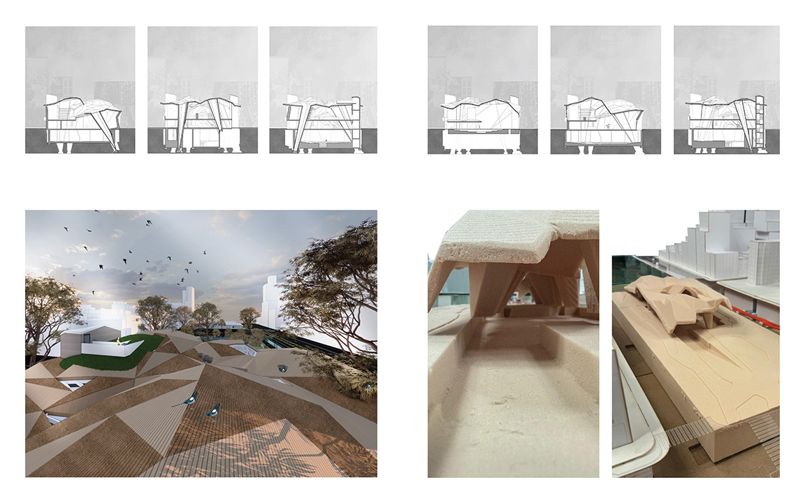 Sections, Rendering and Physical Model