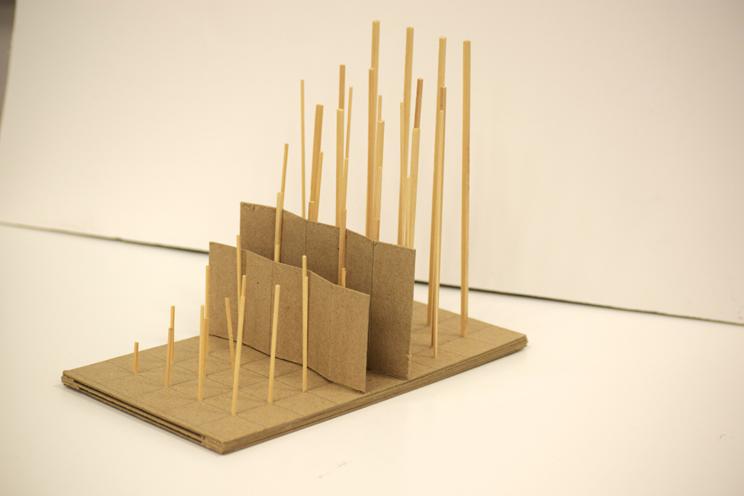 Basswood, chipboard