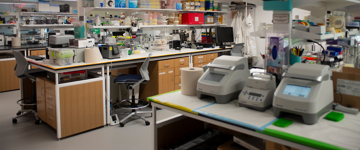 BRIIC Lab stations and various equipment