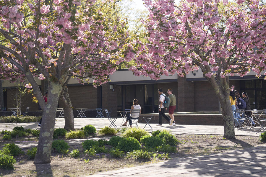 Floral paths on campus