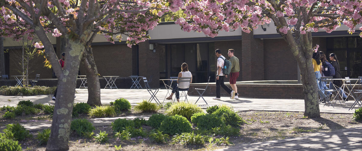 Floral paths on campus