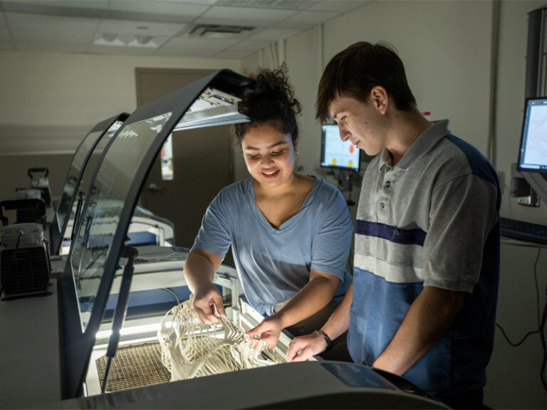 Academics—Degrees & Programs | New York Tech